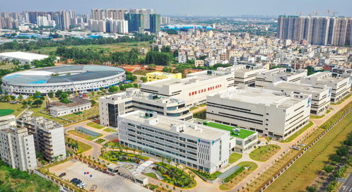 海南海藥 從四方面發力助推企業創新轉型