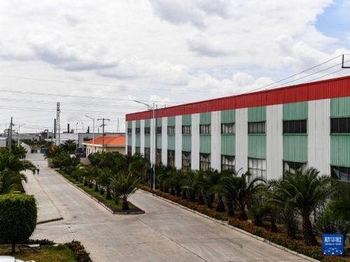 東方工業園助力“非洲屋脊”工業化進程