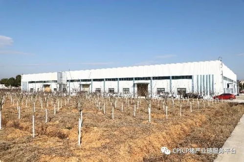 江西標(biāo)桿農(nóng)牧企業(yè)見(jiàn)聞之博萊集團(tuán) 現(xiàn)代化工業(yè)園里的農(nóng)業(yè)新圖景